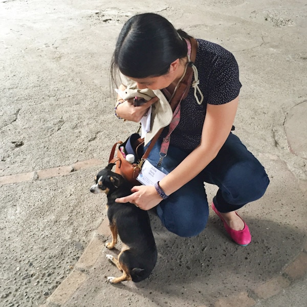 Five Things I Love About Puerto Vallarta, Mexico: The People thelittlekitchen.net Five Things I Love About Puerto Vallarta, Mexico: The People thelittlekitchen.net