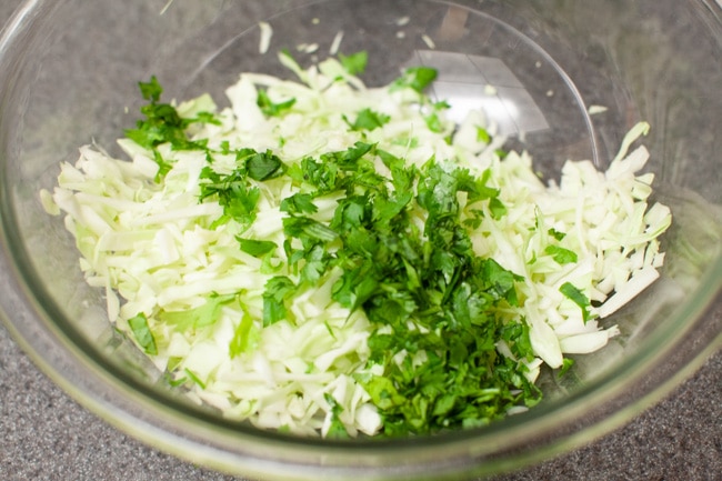 Asian Fish Tacos with Pork Dumplings from thelittlekitchen.net Asian Fish Tacos with Pork Dumplings from thelittlekitchen.net