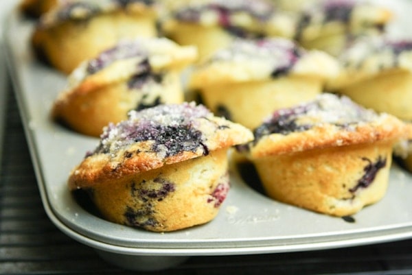 Blueberry Muffins