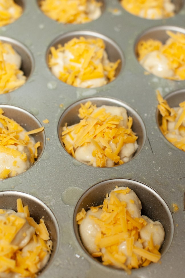 Cheddar Cheese Cloverleaf Rolls from thelittlekitchen.net Cheddar Cheese Cloverleaf Rolls from thelittlekitchen.net