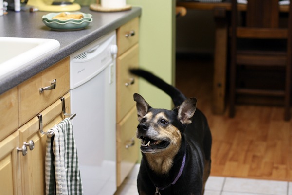 Chinese Egg Rolls Chinese Egg Rolls