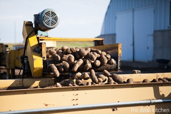 Jim Tiede's Farm, Idaho
