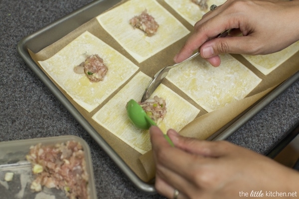 Pork and Shrimp Wonton Soup with Broccoli and Escarole from thelittlekitchen.net Pork and Shrimp Wonton Soup with Broccoli and Escarole from thelittlekitchen.net
