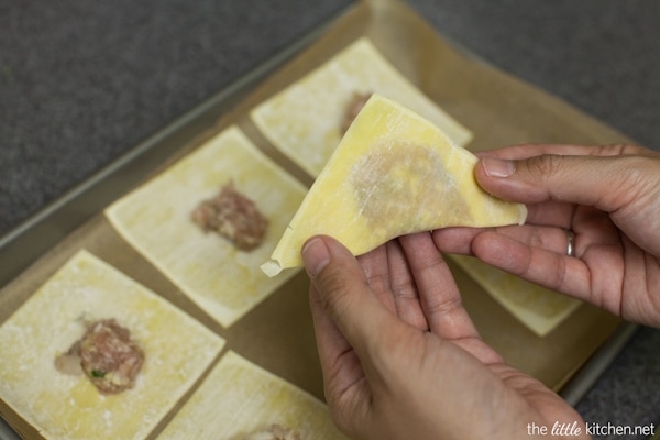 Pork and Shrimp Wonton Soup with Broccoli and Escarole from thelittlekitchen.net Pork and Shrimp Wonton Soup with Broccoli and Escarole from thelittlekitchen.net