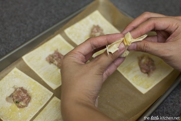 Pork and Shrimp Wonton Soup with Broccoli and Escarole from thelittlekitchen.net Pork and Shrimp Wonton Soup with Broccoli and Escarole from thelittlekitchen.net