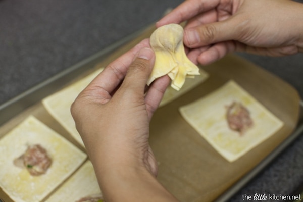 Pork and Shrimp Wonton Soup with Broccoli and Escarole from thelittlekitchen.net Pork and Shrimp Wonton Soup with Broccoli and Escarole from thelittlekitchen.net