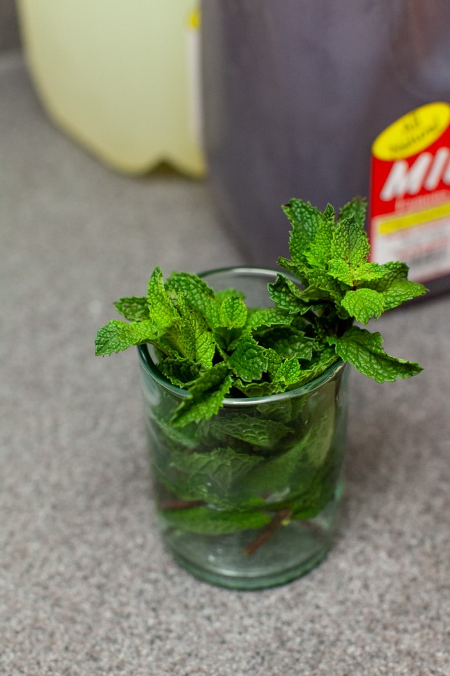 Sweet Tea with Vodka and Lemonade from thelittlekitchen.net fresh mint leaves in a glass in water