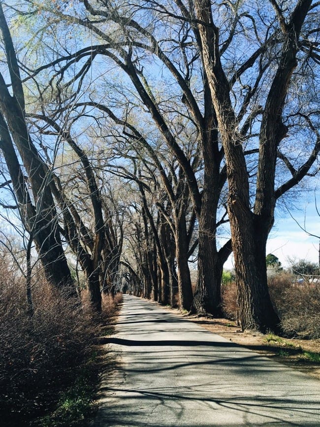 Trip to Albuquerque, New Mexico thelittlekitchen.net Trip to Albuquerque, New Mexico thelittlekitchen.net
