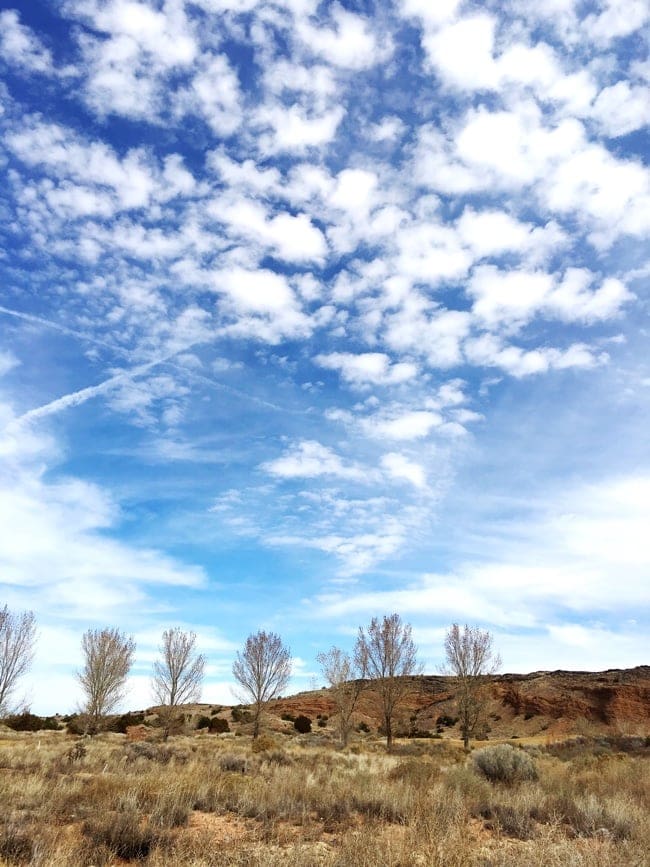 Trip to Albuquerque, New Mexico thelittlekitchen.net Trip to Albuquerque, New Mexico thelittlekitchen.net