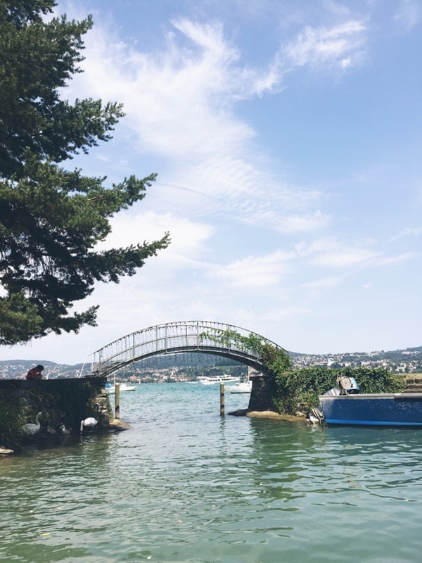 rip to Zurich, Switzerland thelittlekitchen.net rip to Zurich, Switzerland thelittlekitchen.net